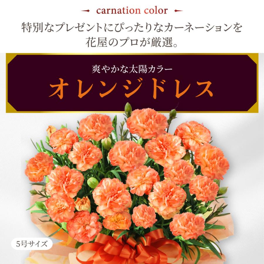 吉本花城園 母の日 プレゼント 2026 花 カーネーション オレンジドレス