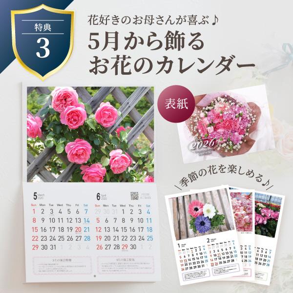母の日 プレゼント 2026 花 カーネーション オレンジドレス 鉢植え 5号 ギフト 吉本花城園 送料無料 | 吉本花城園 | 09