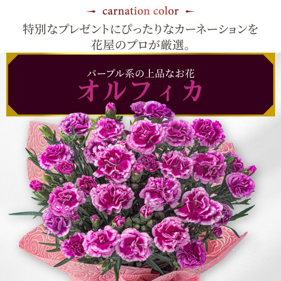 吉本花城園 爆買 母の日 プレゼント 2026 花 カーネーション