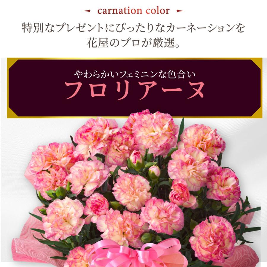 母の日 プレゼント 2026 花 カーネーション フロリアーヌ 鉢植え 5号 ギフト 選べる特典付き 吉本花城園 送料無料 | 吉本花城園 | 03