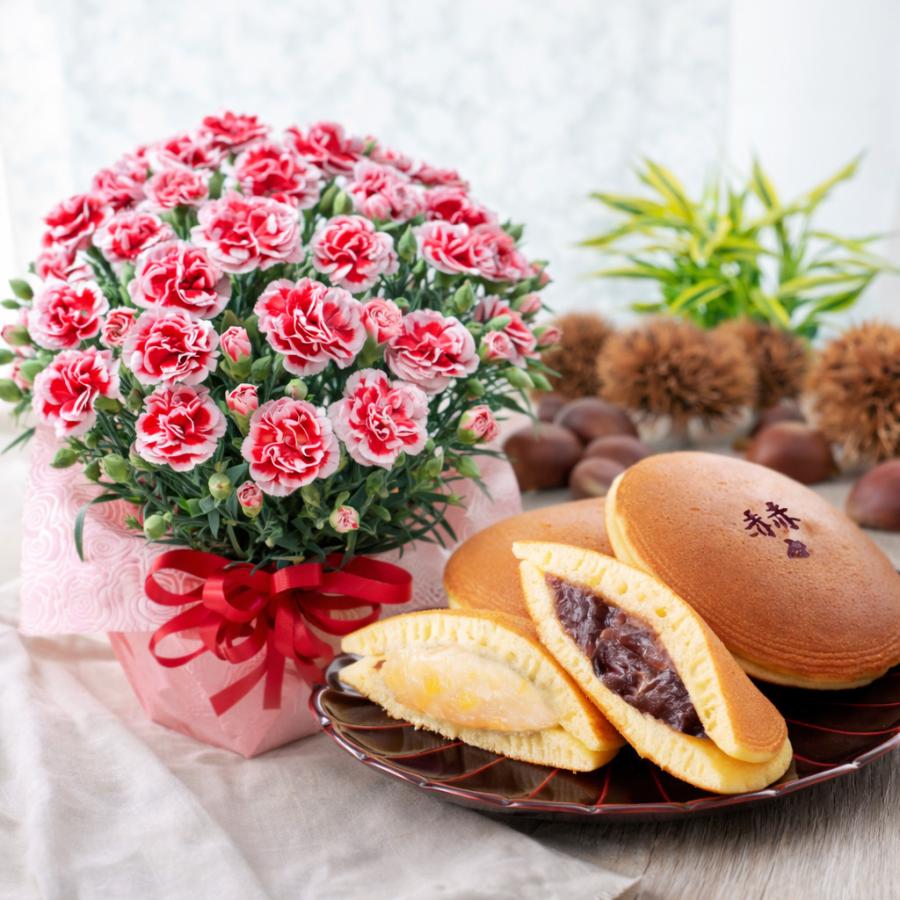 吉本花城園 母の日 プレゼント 2026 花とスイーツ カーネーション