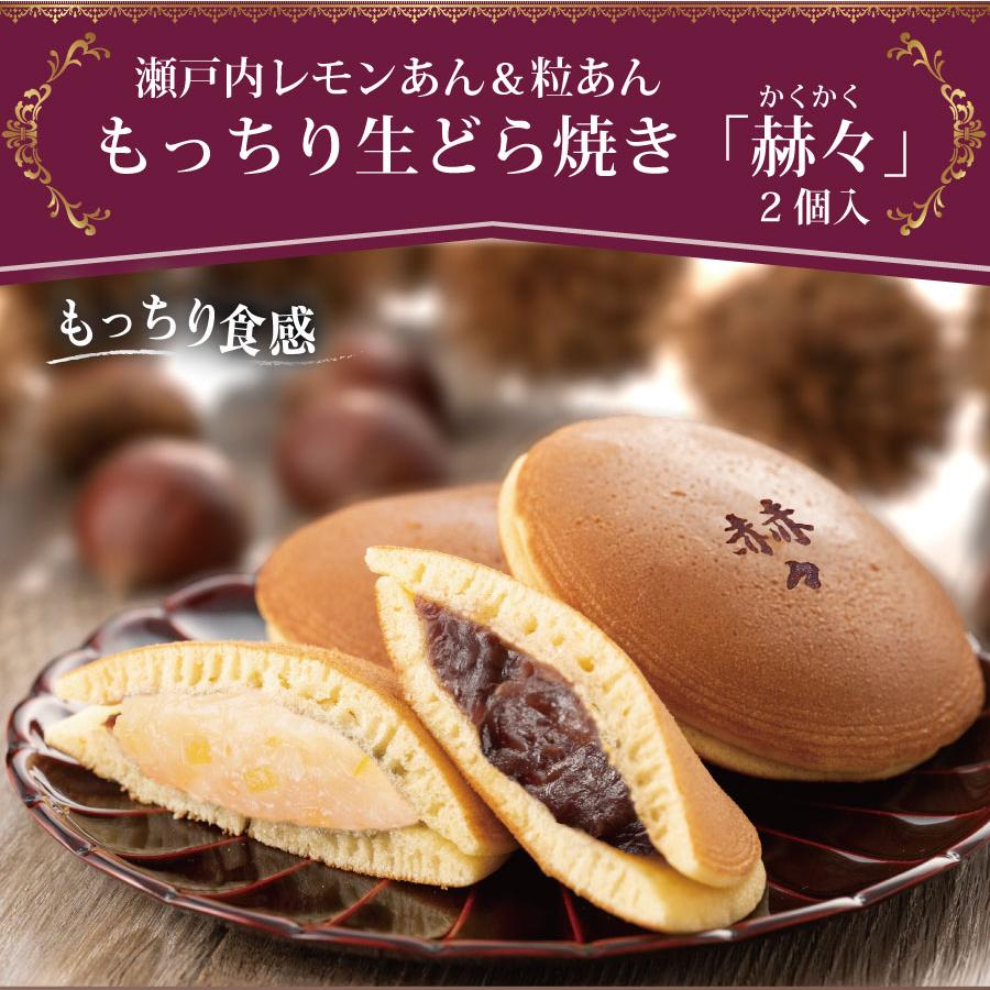 吉本花城園 母の日 プレゼント 2026 花とスイーツ カーネーション