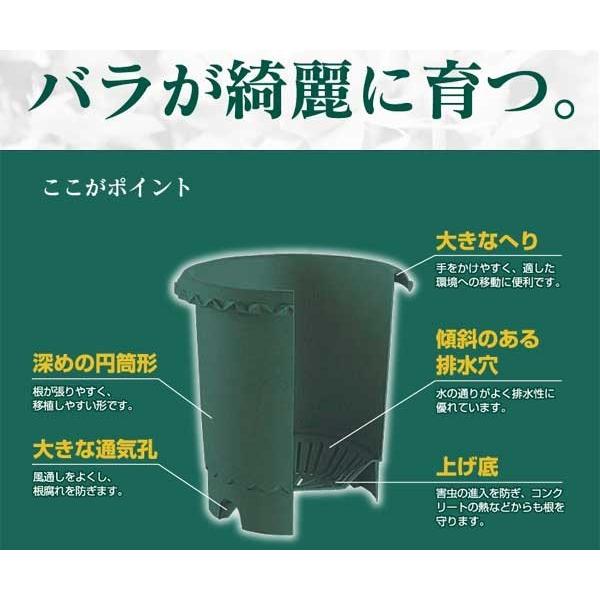 リッチェル バラ鉢１０号 ブルー ｂ A Fleurtown吉本花城園 通販 Yahoo ショッピング