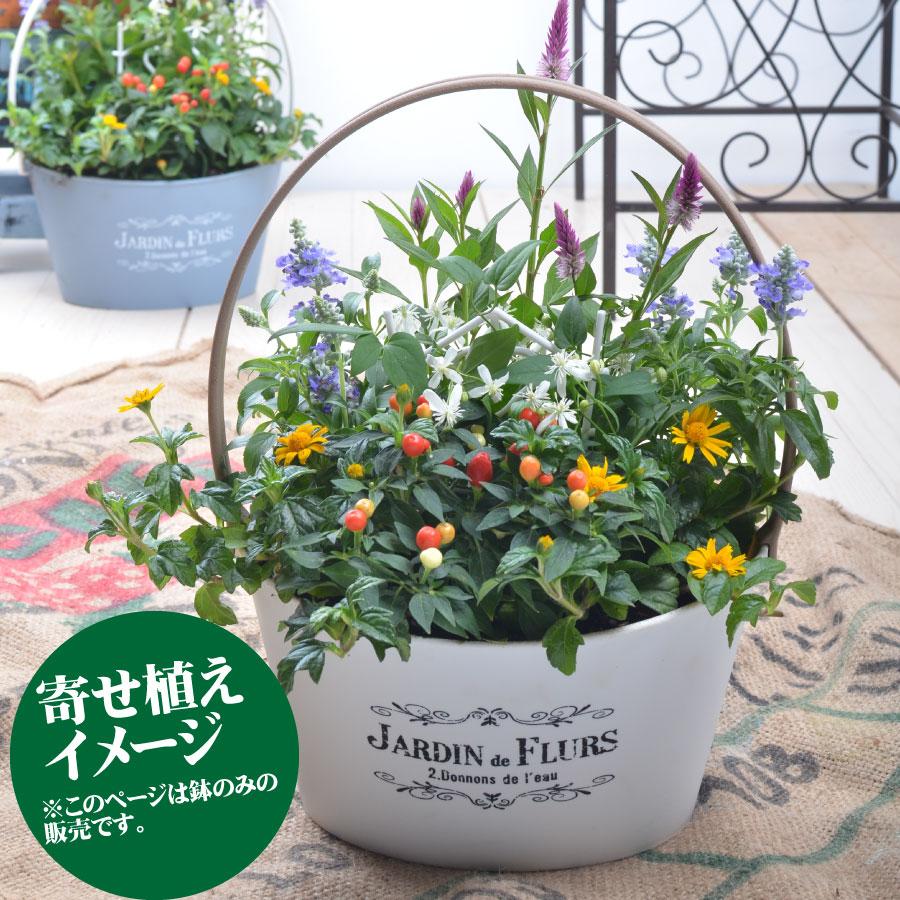 バスケット プランター 鉢 選べる4色 寄せ植え用 花苗用 球根用 に