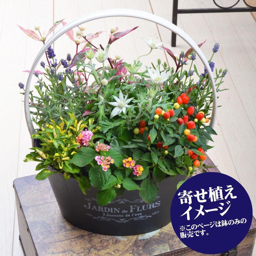 バスケット プランター 鉢 選べる6色 寄せ植え用 花苗用 球根用 におすすめ※苗は含みません。鉢のみです。｜kajoen｜07