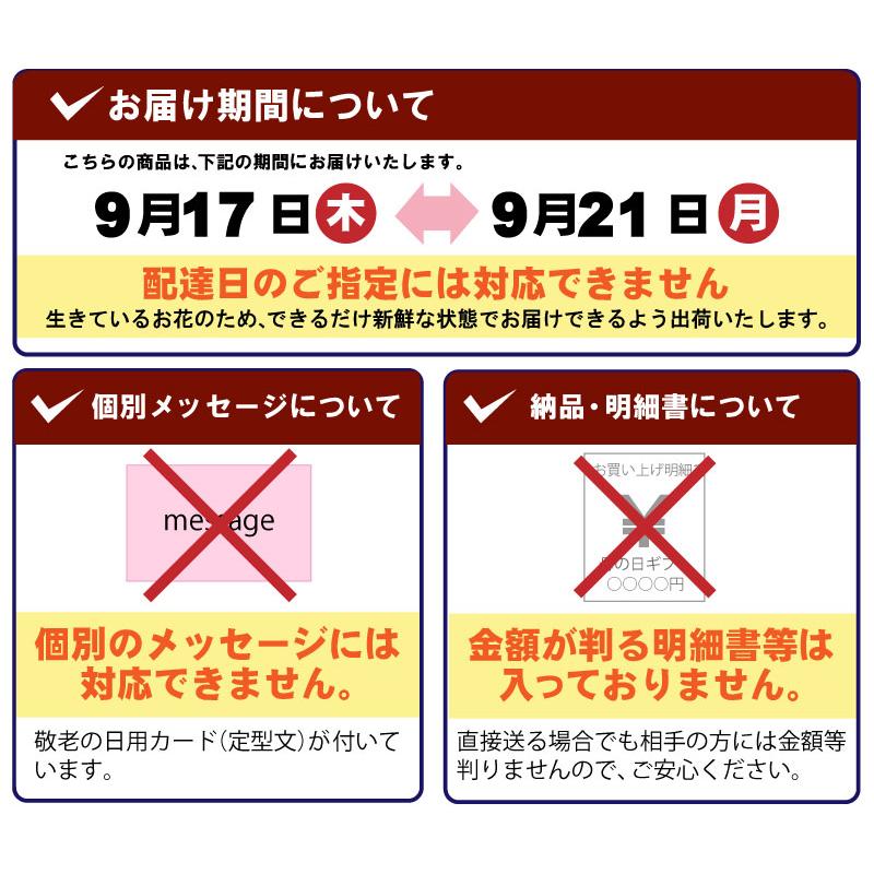 吉本花城園 遅れてゴメンね 敬老の日 2026 花 ギフト におい桜 5号