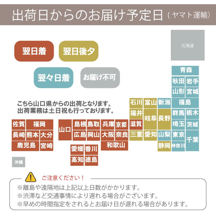 吉本花城園 爆買 観葉植物 パキラ 幸福の木 大型 ドラセナ 観葉 ギフト