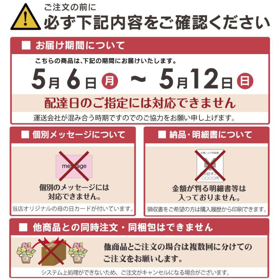 母の日 プレゼント 花 ギフト 鉢植え クレマチス 北浜 白 特典付き 2024年｜kajoen｜07