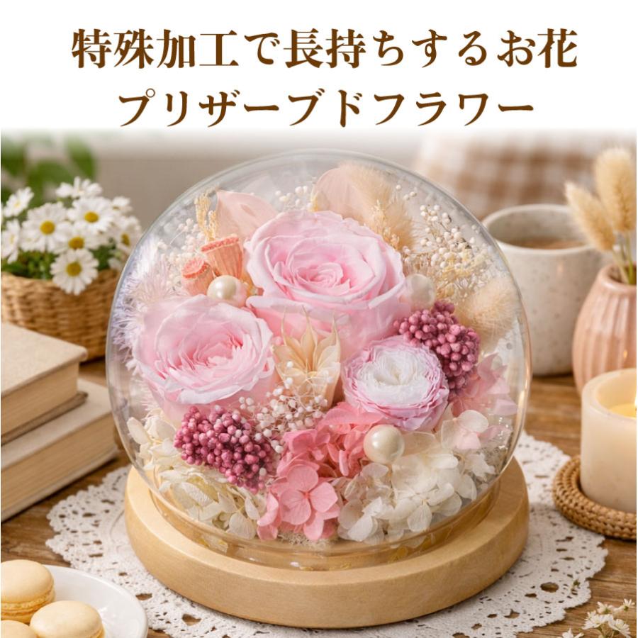 吉本花城園 母の日 2026 プリザーブドフラワー バラ ガラスドーム