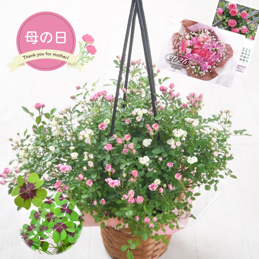 母の日 ギフト タワー仕立て ミニチュアローズ バラの鉢植え ツリー