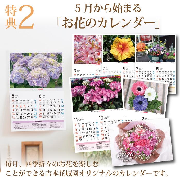 母の日 ギフト タワー仕立て ミニチュアローズ バラの鉢植え ツリー