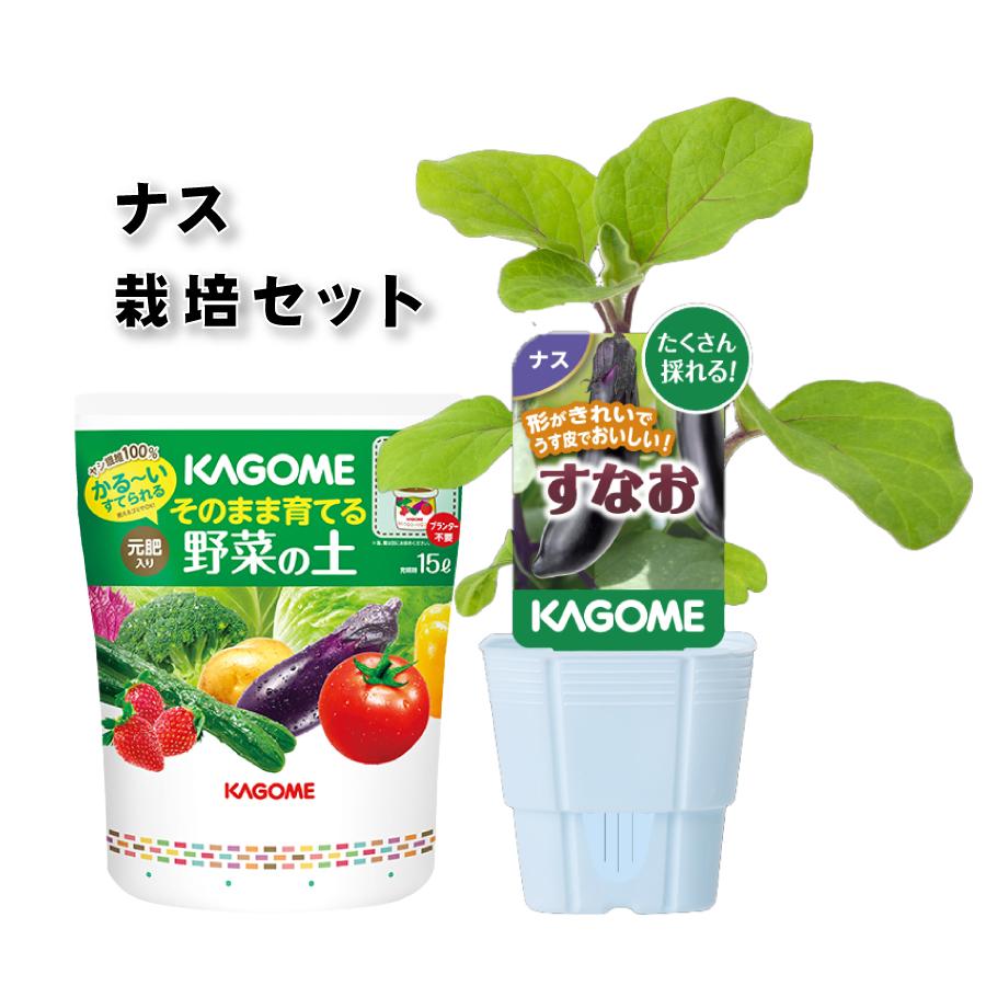 吉本花城園 KAGOME カゴメのナス 苗と土のセット 3号ポット すなお