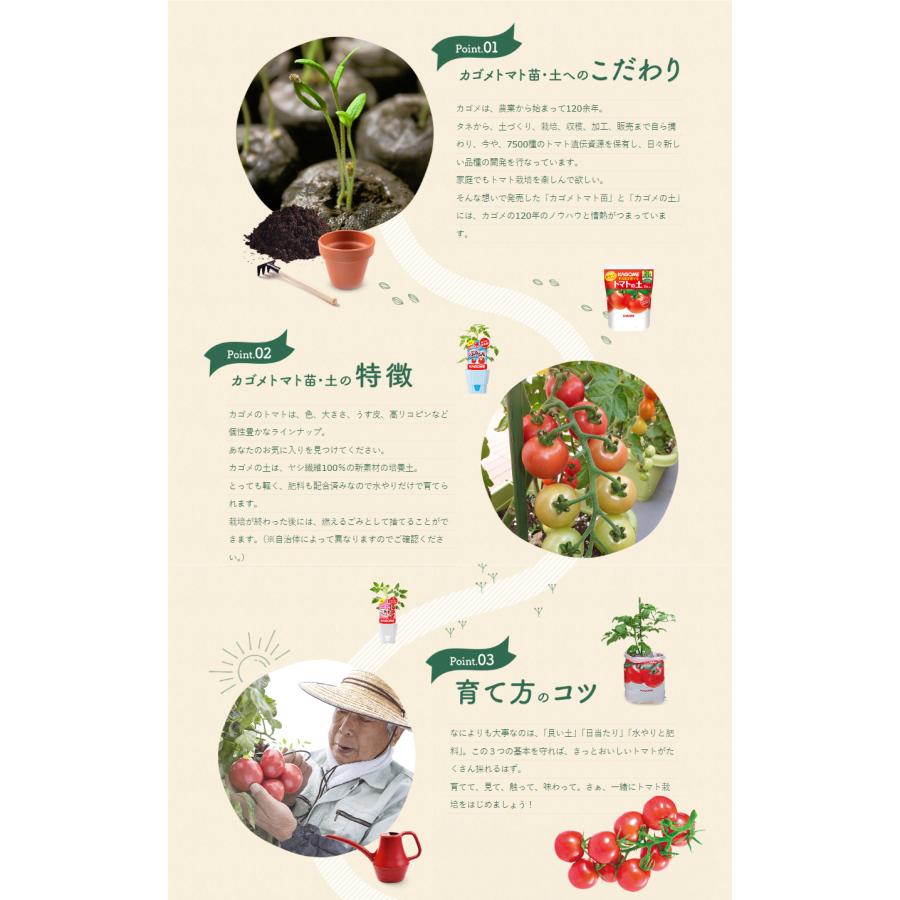 吉本花城園 KAGOME カゴメのトマト苗 3号ポット ぷるるん 野菜苗 家庭