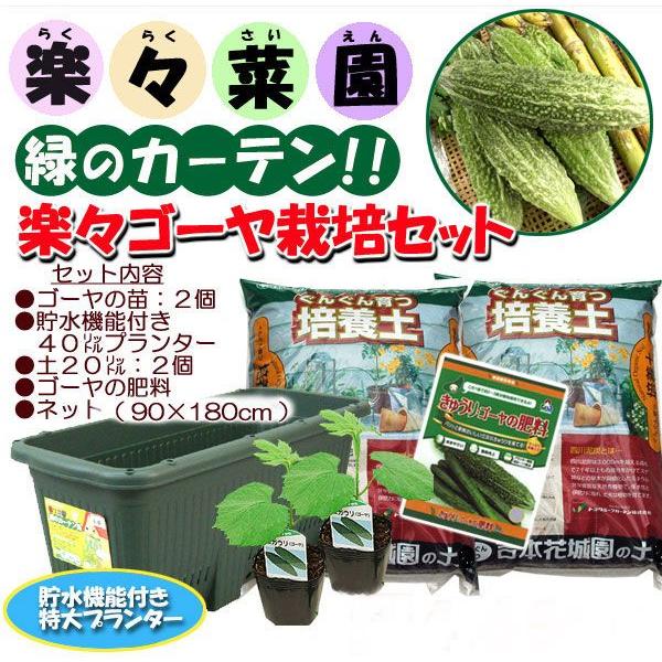 楽々ゴーヤー栽培セット 貯水機能付き プランター ネット1 ゴーヤー苗2 ゴーヤ肥料550ｇ1 ぐんぐん育つ培養土2 ご予約品 4月中旬以降お届け｜kajoen