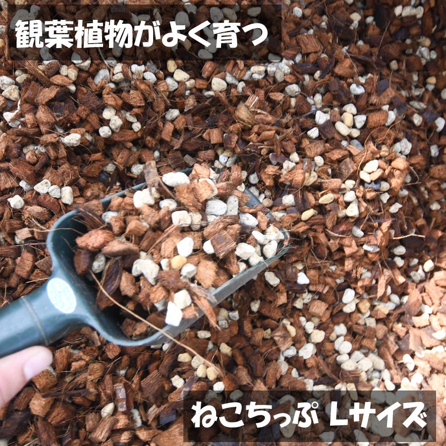 吉本花城園 爆買 ねこチップ（Lサイズ） 5リットル 観葉植物が元気に