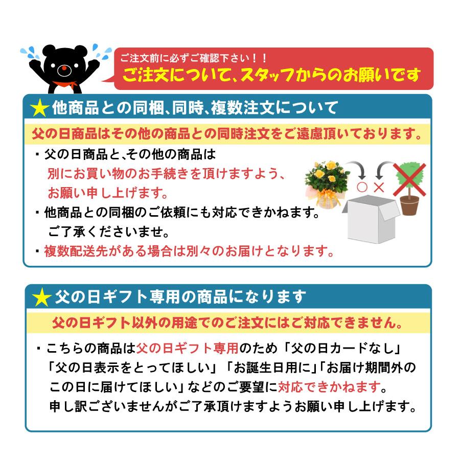 遅れてごめんね 父の日 ギフト プレゼント バラ マンダリナ コルダナ
