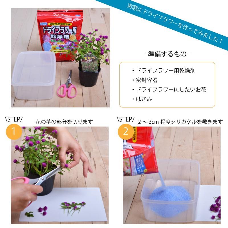 繰り返し使える ドライフラワー用乾燥剤 シリカゲル 1kg ハーバリウムやフラワーアレンジに Sirikagel 1 Fleurtown吉本花城園 通販 Yahoo ショッピング