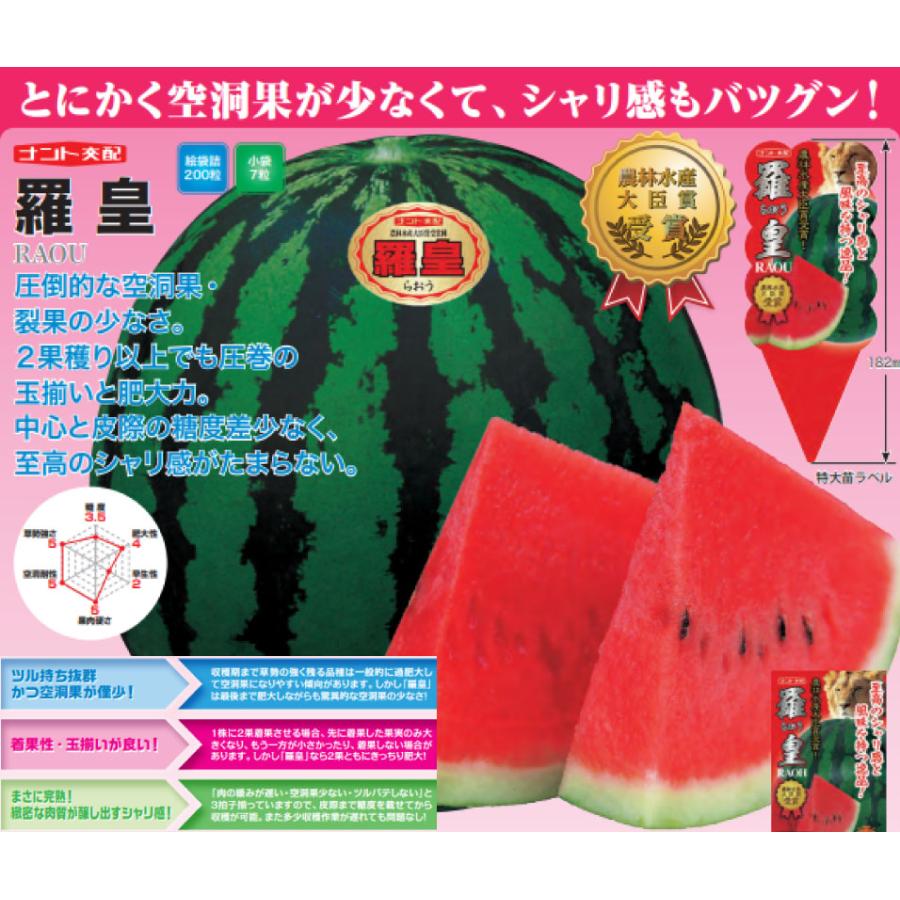 吉本花城園 爆買 野菜苗スイカ苗 羅皇 らおう ラオウ 3号ポット 接木苗