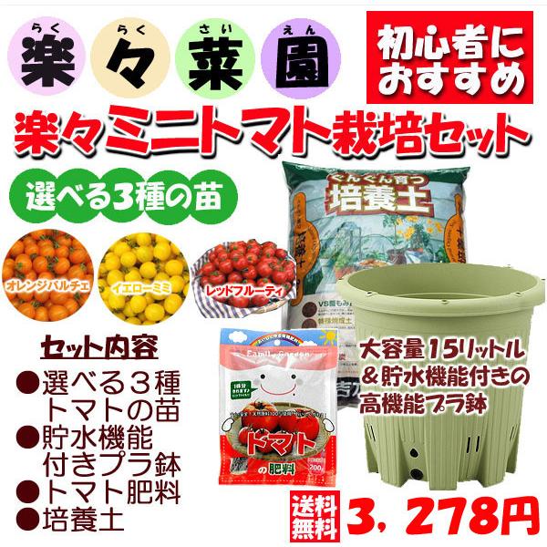 楽々菜園 ミニトマト栽培セット トマト苗1 菜園丸型380鉢1 トマト肥料1 ぐんぐん培養土1 ご予約品 4月中旬以降お届け｜kajoen