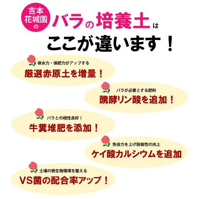 吉本花城園の バラの培養土 ２袋セット 他商品との同梱不可｜kajoen｜04