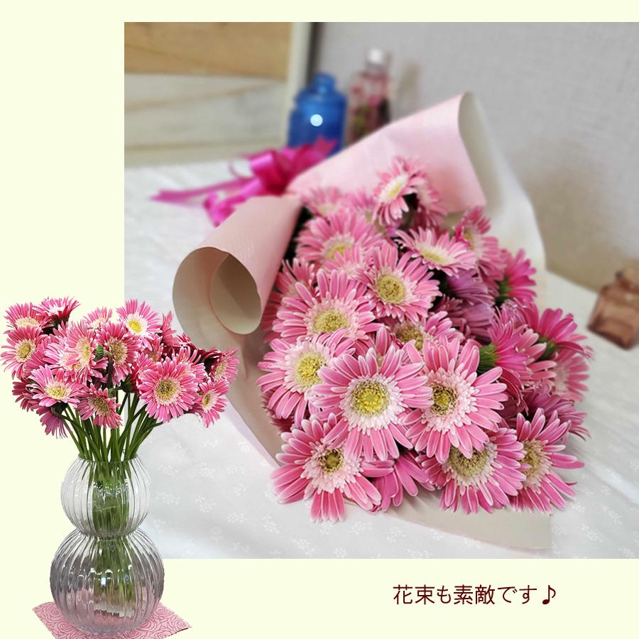 吉本花城園 ガーベラの進化系 ガルビネア 【ピンク系】 花 5号 鉢植え