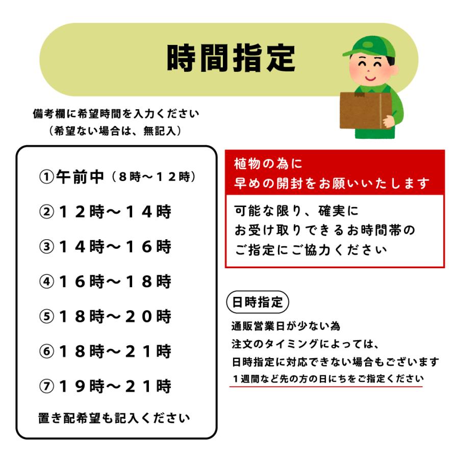 特選果樹苗 ☆南高梅 : 花じょう園シヨツプ - 通販 - Yahoo!ショッピング