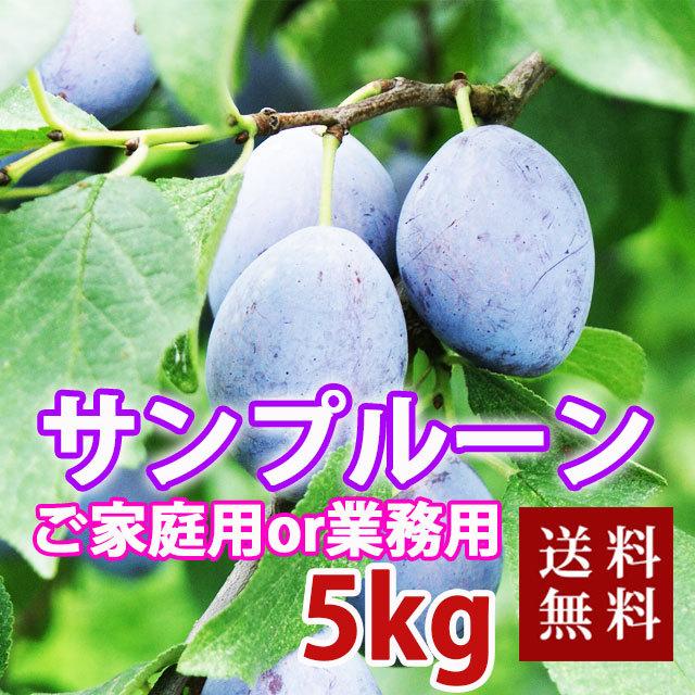 信州産☆サンプルーン☆1kg以上