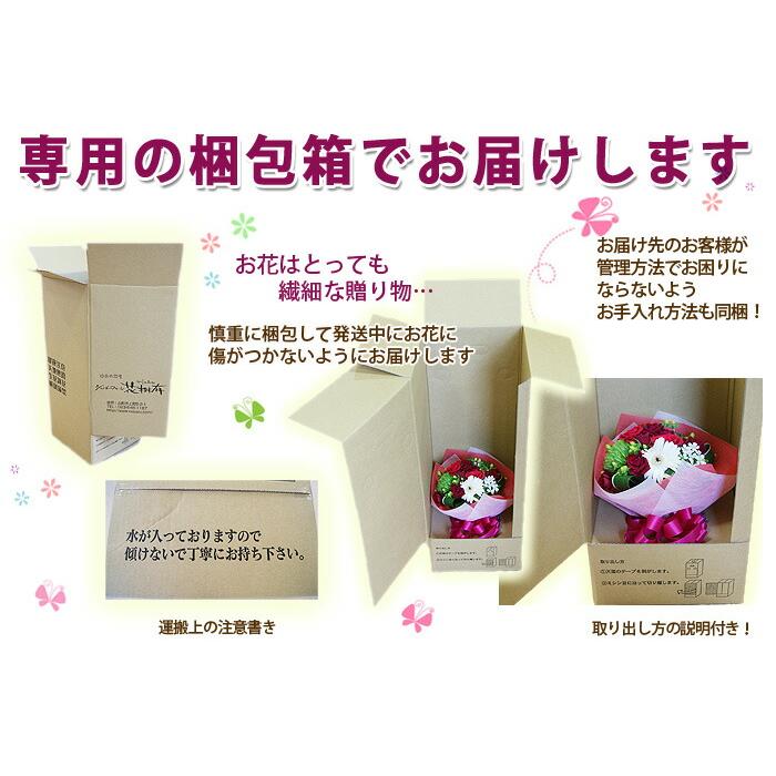 アジサイ 紫陽花 あじさい 【 アジサイ ラグランジア クリスタルベール２ あじさい 送料無料 鉢植え 紫陽花 】 2026年 母の日 プレゼント ギフト_10
