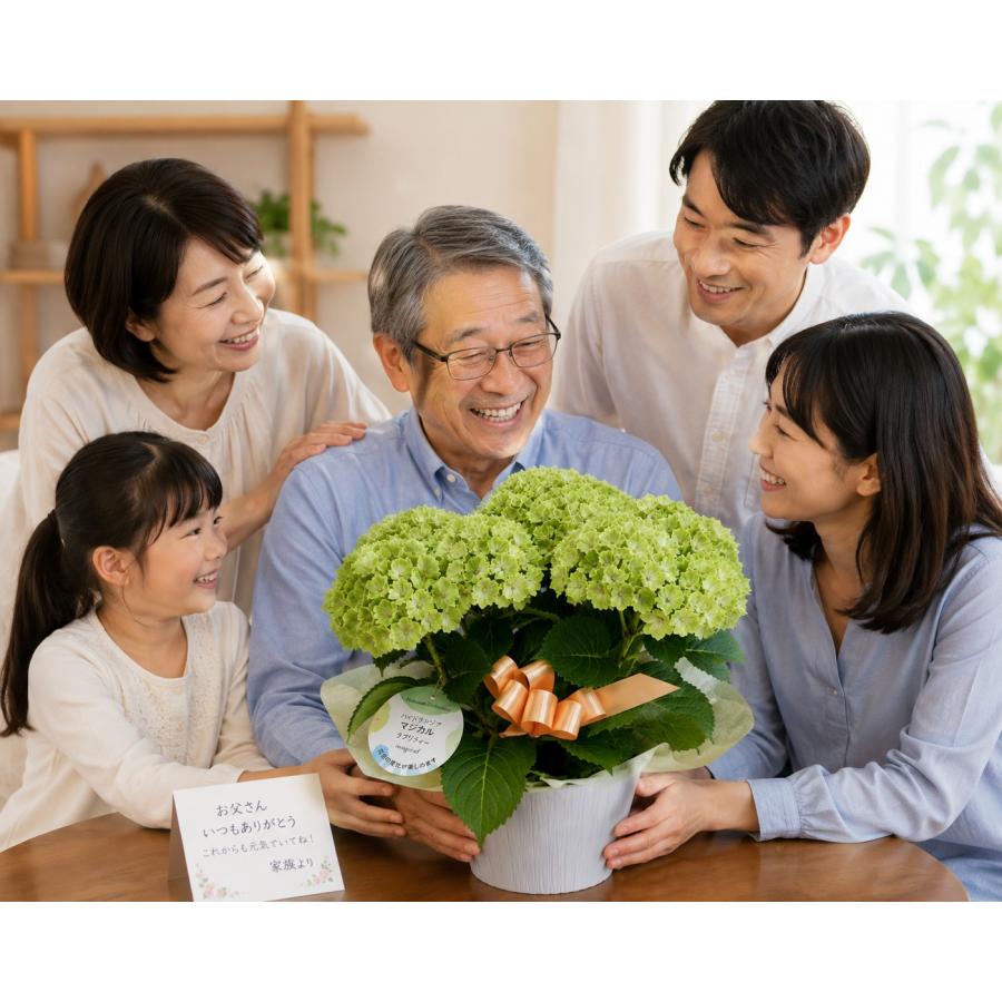 マ*ア様 【特選】　アジサイ　5寸6種6鉢　紫陽花 あじさい グリーン 紫陽花 鉢植え 緑 5寸 マジカルラプソディー