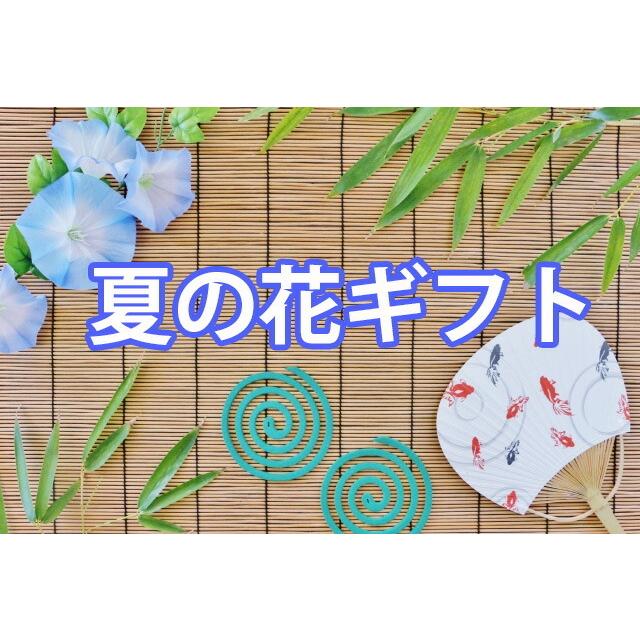 朝顔 あさがお アサガオ 鉢植え 琉球朝顔 6寸 オーシャンブルー