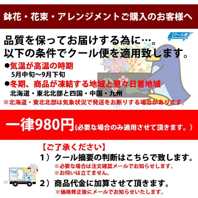 青いバラ 青い薔薇 ブルーローズ 40本 花束 青いバラの花束 プレゼント 誕生日 結婚記念日 ホワイトデー 卒業 入学 送別 意味 花言葉 花ギフト サントリー｜kajuaru｜05