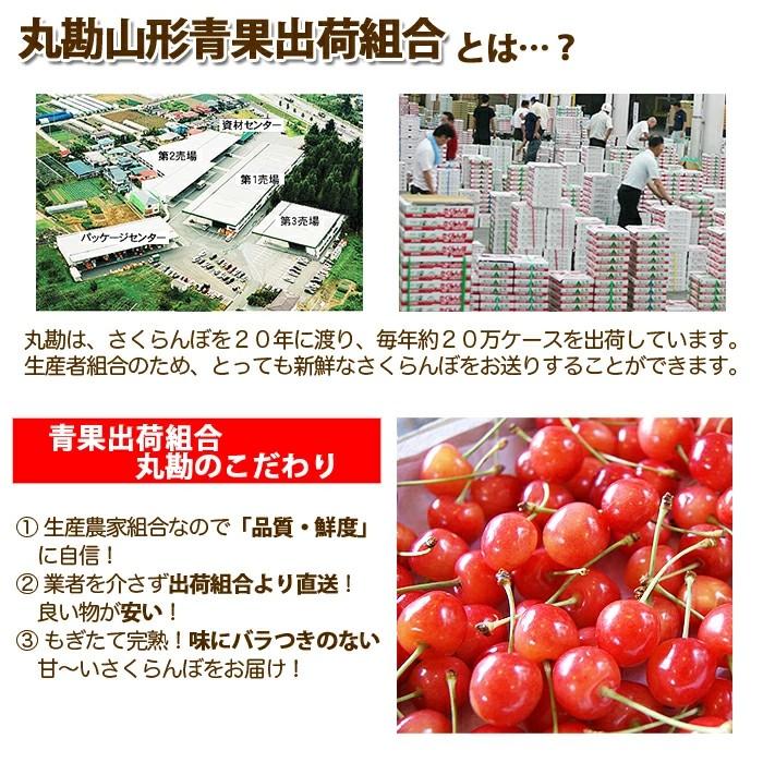 さくらんぼ 2027年 紅秀峰 特秀 L バラ詰め 1kg s1 丸勘 山形 MK