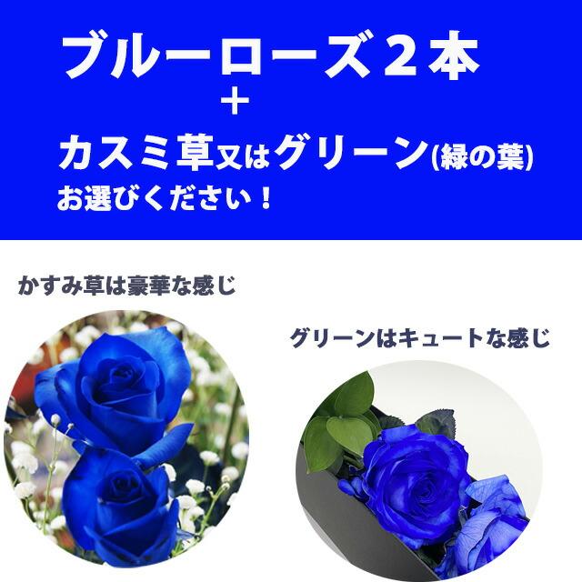 SUNTORY（サントリー） 母の日 2026 青いバラ ブルーローズ BOX