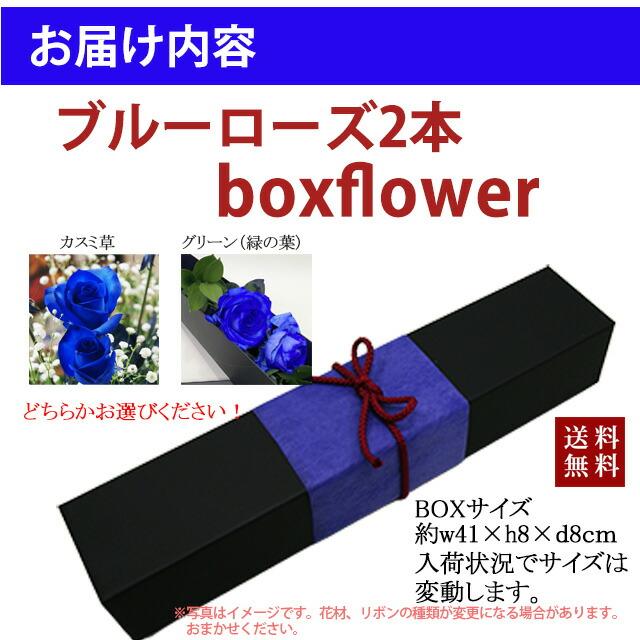SUNTORY（サントリー） 母の日 2026 青いバラ ブルーローズ BOX
