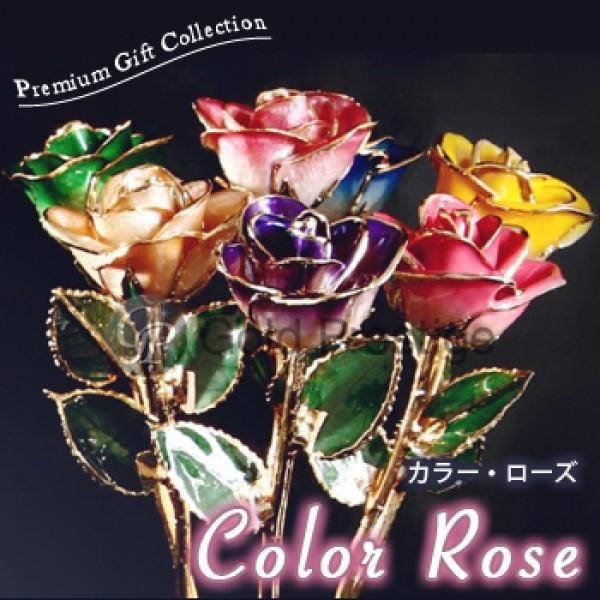 カラーローズ アクリルケース入り Gold Prestige ゴールドプレスティージ