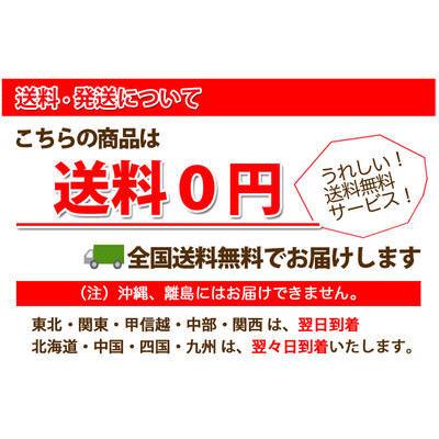 2026年 予約 シクラメン プレゼント 鉢花 【 特大 江戸の青 6号 】 送料無料  お歳暮 クリスマス の 花 ギフト 鉢植え  新 品種 鉢 原種 花ギフト daieiの画像