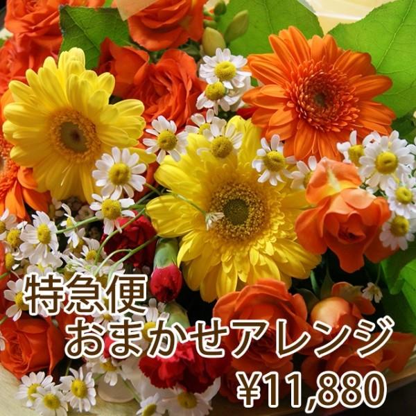 当日配達 フラワーアレンジ フラワー特急便 当日お届け 母の日 父の日 父の日 フラワーギフト 花 #10