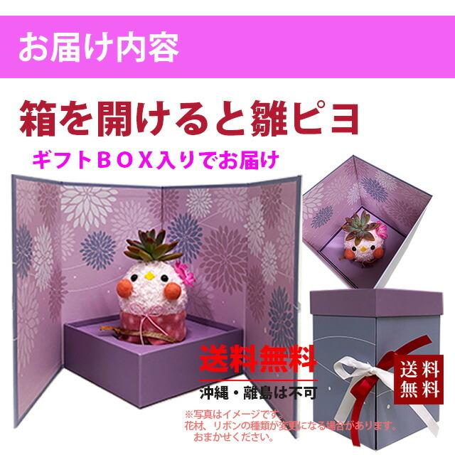 多肉植物 鉢 寄せ植え ひな祭り 雛ピヨ プレゼント ギフト おしゃれ