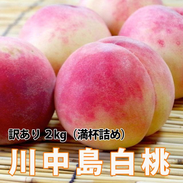 2027年 予約 川中島白桃 訳あり 2kg 満杯詰め 白桃 送料無料 桃 もも