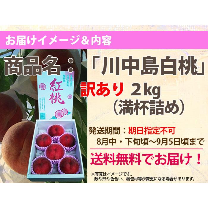 無料サンプルok 白桃 送料無料 桃 もも 山形 訳あり 川中島白桃 果物 硬い桃 固い桃 大玉2ｋｇ 満杯詰め かたい桃