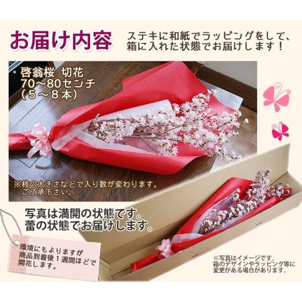 啓翁桜 80cm 7本〜8本 桜 さくら 花束 山形 プレゼント ひな祭り 