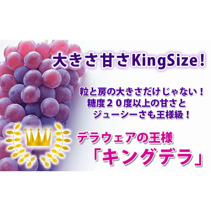 キングデラ キングデラウェア ぶどう 秀 贈答 ２kg 山形市本沢産 デラウェア お中元 ギフト キングデラウェアとは 葡萄 ブドウ 農産物 ふるさと_2