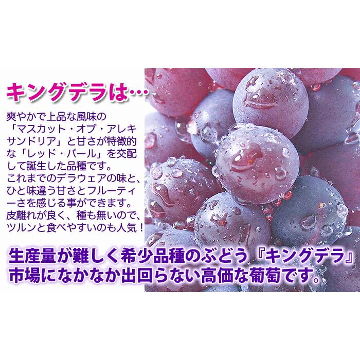 キングデラ キングデラウェア ぶどう 秀 贈答 ２kg 山形市本沢産 デラウェア お中元 ギフト キングデラウェアとは 葡萄 ブドウ 農産物 ふるさと_3
