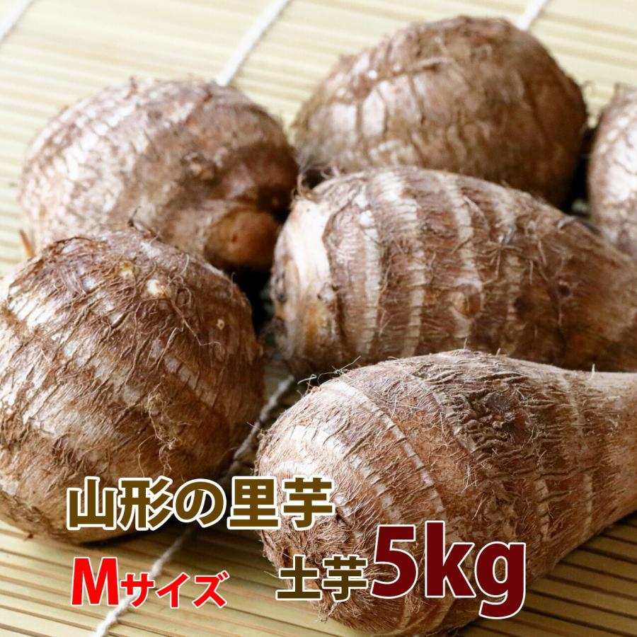 2026年 予約 里芋 さといも 山形 秀 Mサイズ 5kg 土芋 ○勘 土付き