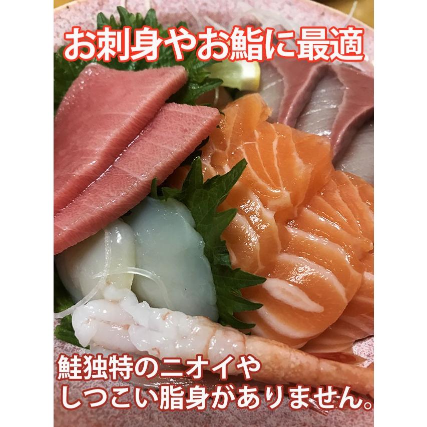 ふるさと納税 根室市 お刺身トラウトサーモン2.5kg C-09002 通販 ふるさと納税 根室市 お刺身トラウトサーモン2.5kg C-09002