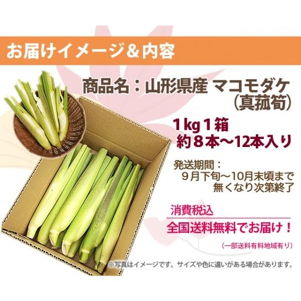 2026年 予約 マコモダケ 真菰筍 1kg 約8本〜12本 生でも食べられる
