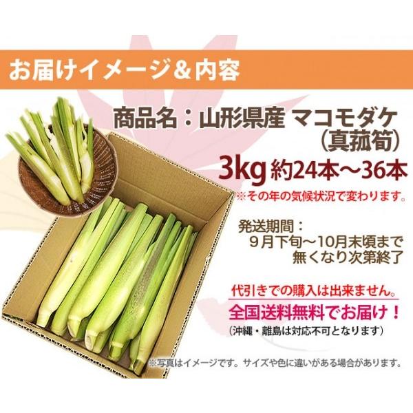 2026年 予約 マコモダケ 3kg 約24本〜36本 送料無料 山形産 国産 真菰