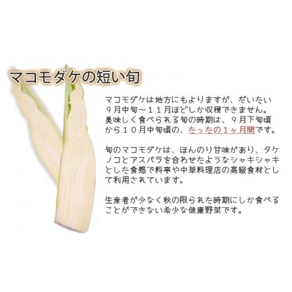 マコモダケ 9kg 約72本〜108本 送料無料 山形産 国産 真菰筍 マコモタケ マコモダケとは苗 栽培 粉末 9k マコモ 種 プレゼント 農産物｜kajuaru｜02