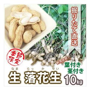 2025年 予約 生落花生 落花生 10kg 5kg 2個 生 おおまさり 郷の香 品種 