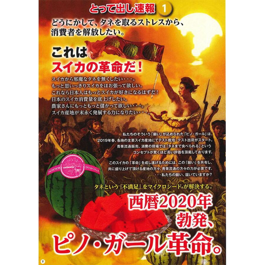 小玉スイカ 山形 送料無料 【 ピノガール 秀3L 3玉入り 】 尾花沢